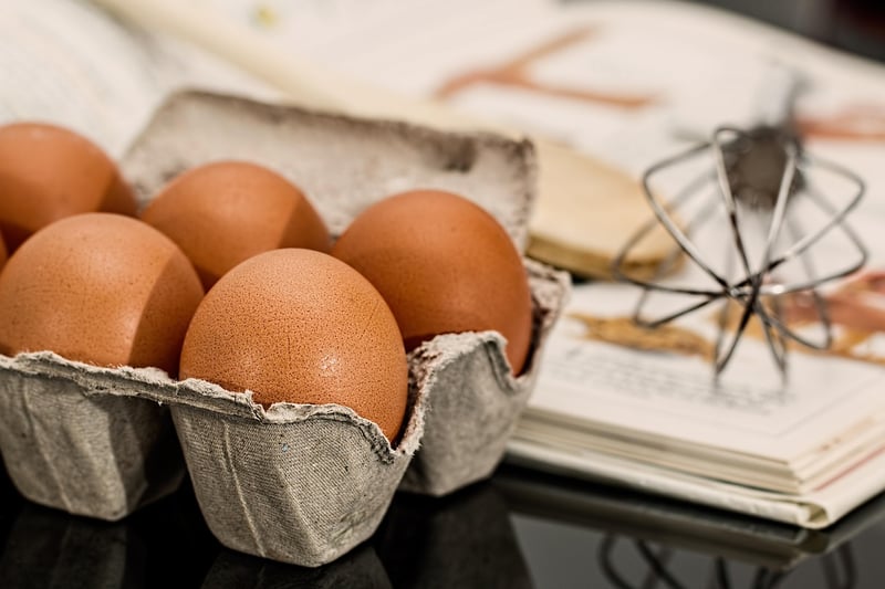 Upcycle egg cartons